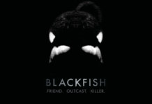 Blackfish